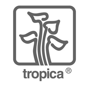tropica