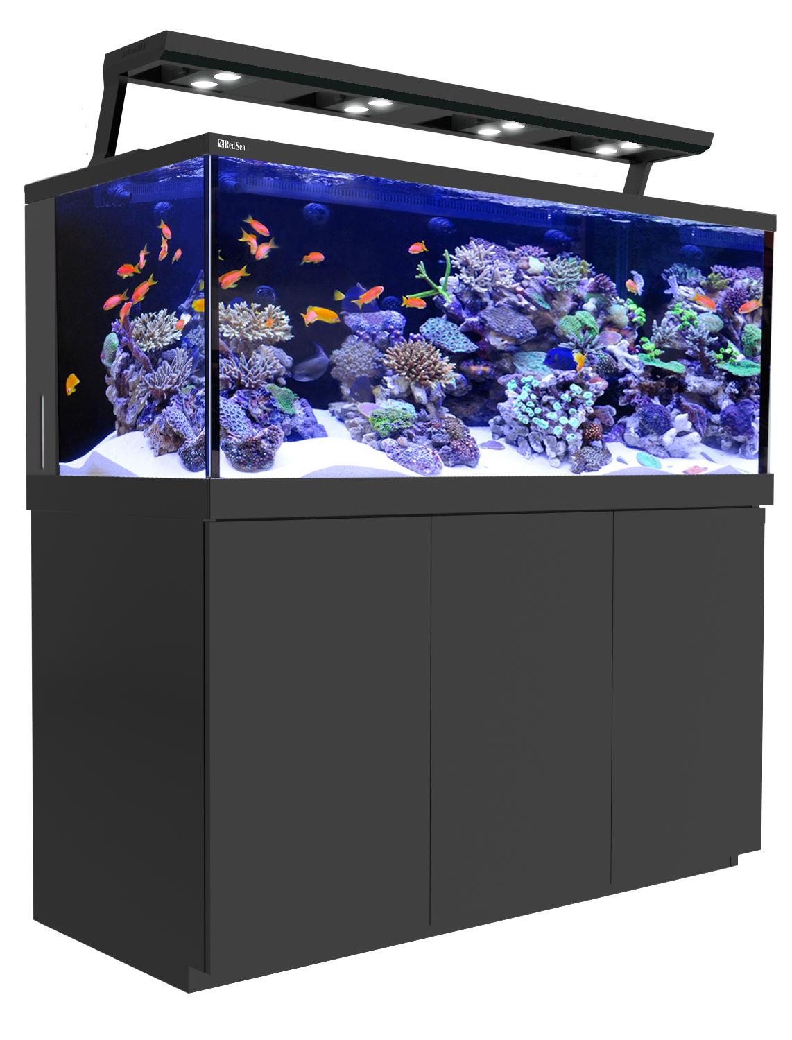  تانک آکواریوم اول