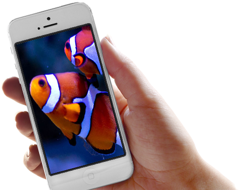 تانک آکواریوم چهارم